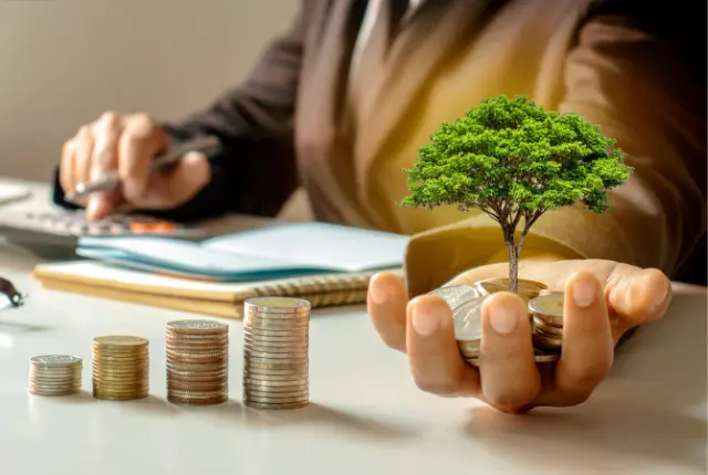 Real Estate Investment Advisory